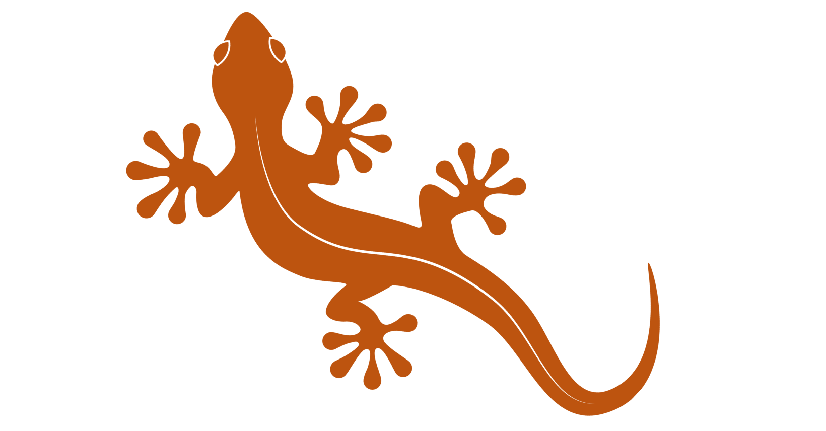 Biehlig Consulting Logo
